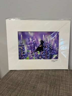 Shirley Gallant Purple Lupine & Blackbird Photograph